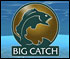 play Big Catch