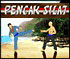 play Pencak Silat