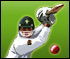 play Pixel Cricket