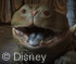 play Wild Woola