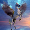 Pegasus