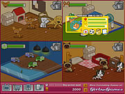 play Animal Shelter