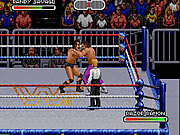 play Wwf Royal Rumble (1993)