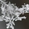 play Snowflakes Jigsaw