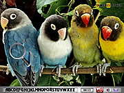play Hidden Alphabets-Parrots