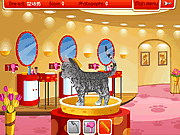 play Petz Fashion