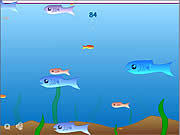 play Fishy
