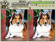 play Gimme 5 Dogs