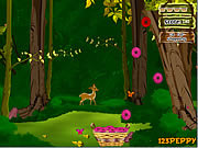 play Flower Pocket