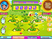 play Luna'S Magic Flower Shop