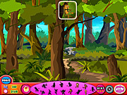 play Monkey Hidden