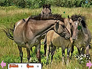 play Hidden Rings Horses