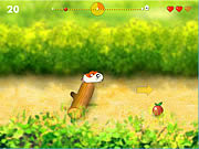 play Running Hamster