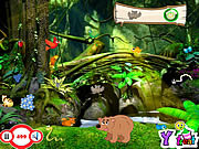 play My Jungle