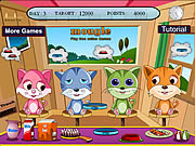 play Pets Care