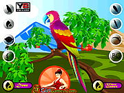 play Decor The Cute Parrot