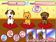 play Puppies Salon