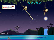 play Jungle Transport