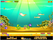 play Seal Growing