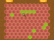play Trapr