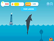 play Splash Down
