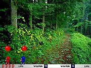 play Pang 2004