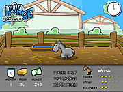 play Horse Rancher