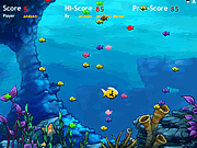 play Fishda