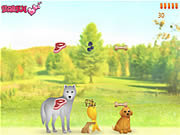 play Feeding Animals
