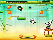 play Panda Jump