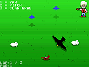 play Plimpton'S Video Falconry