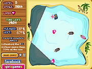 play King Pirate'S Treasure