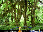 play Hidden Targets-Nature