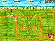 play Playful Bunnies