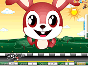 play Bunny Car Chase