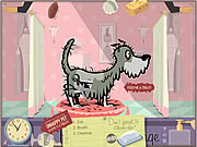 play Pet Spa Challenge
