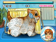 play My Sweet Kitten