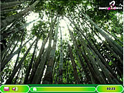 play Hidden Hint - Giant Cat