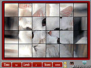 play Pet Swing Set-Puzzle Mania
