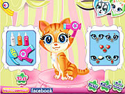 play Pets Beauty Salon