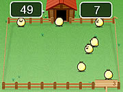 play Catch The Chicks