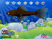 play Aquarium Fish Decor