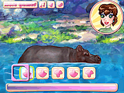 play My Cool Hippo