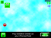 play Cookie Chase