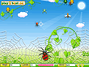 play Spider Hunt