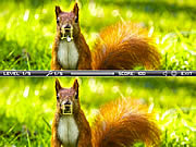 play Squirrel Difference
