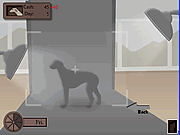 play Greyhound Tycoon
