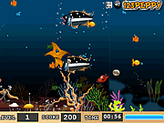 play Star Fish