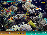 play Hidden World: Underwater