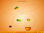 play Fruits Fall